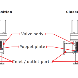 Poppet Valve Diagram