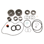 Busch Mink Major Rebuild Kit