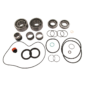 Busch Mink Major Rebuild Kit
