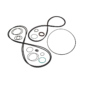 Busch Cobra 0400 B Major Gasket Kit