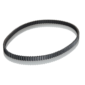 Leybold VaroDry Replacement Belt