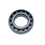 Edwards E2M Roller Bearing