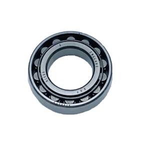 Edwards E2M Roller Bearing