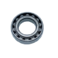 Edwards E2M Roller Bearing